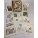 The Book of Baby Pets with illustrations by E. J. Detmold and descriptions by Florence E. Dugdale.