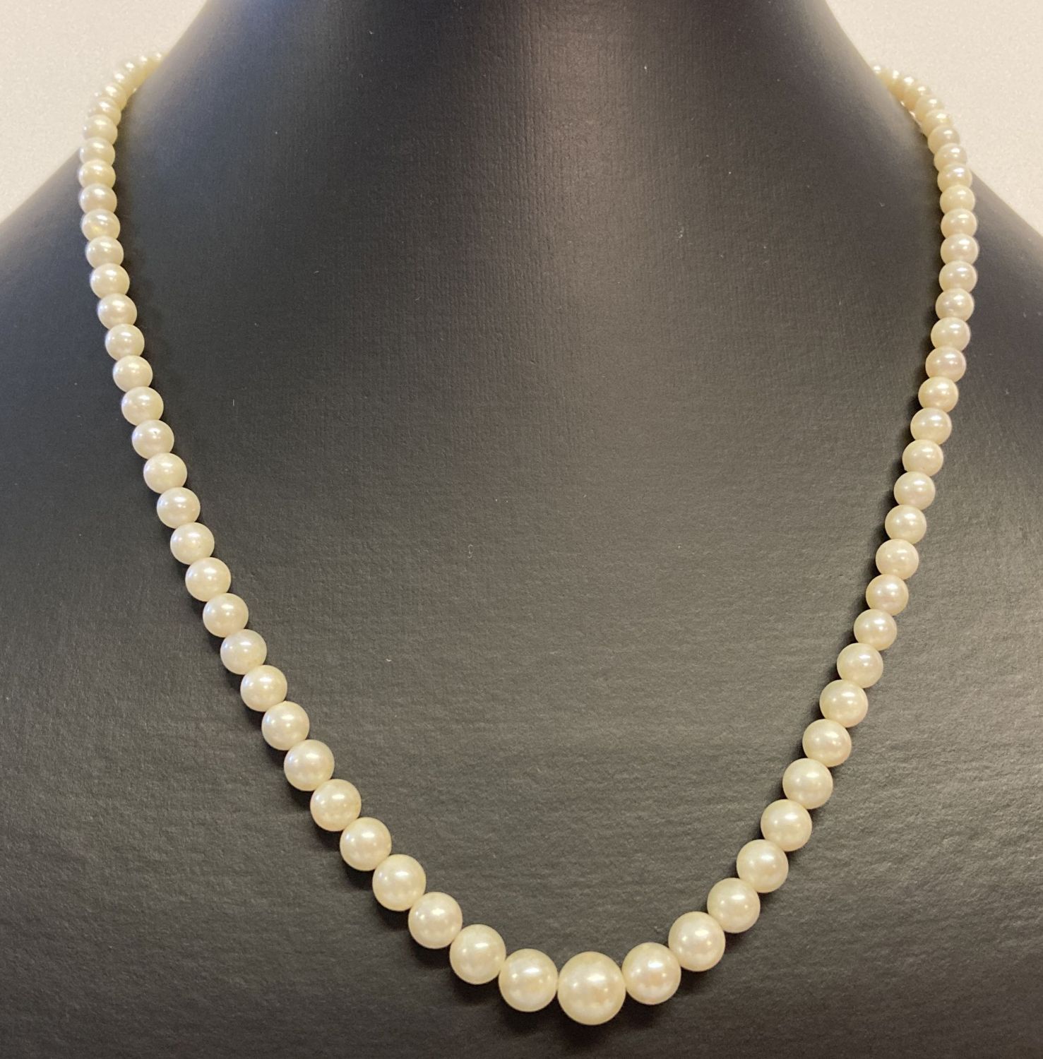 A vintage graduating cream pearl necklace with silver clasp.