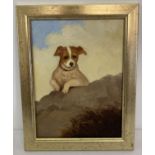 A gilt framed, small oil on board of a Jack Russell dog.