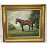 A large gilt framed oil on board of a dark bay horse in a field by C.M. Laurie.