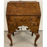 A Queen Anne style Burr walnut ladies bureau raised on cabriole legs and with shaped front.