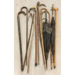 A collection of vintage walking sticks, canes and parasols in vary lengths, design and conditions.