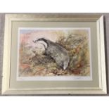 A limited Edition Signed & numbered Trevor Parkin print of a badger. Gilt framed & glazed.