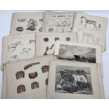 A collection of Victorian & vintage etchings and prints of animals & wildlife. Mostly horses and