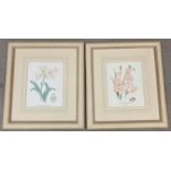A pair of glazed modern Ann Gethen coloured prints of Lily's in cream & gilt frames. Frames