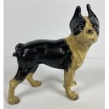 A painted cast iron figure of a French Bulldog in black and cream. Approx. 25cm tall.