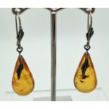 A pair of white metal amber drop earrings with leaf detail to hooks and top of earring. Amber drop