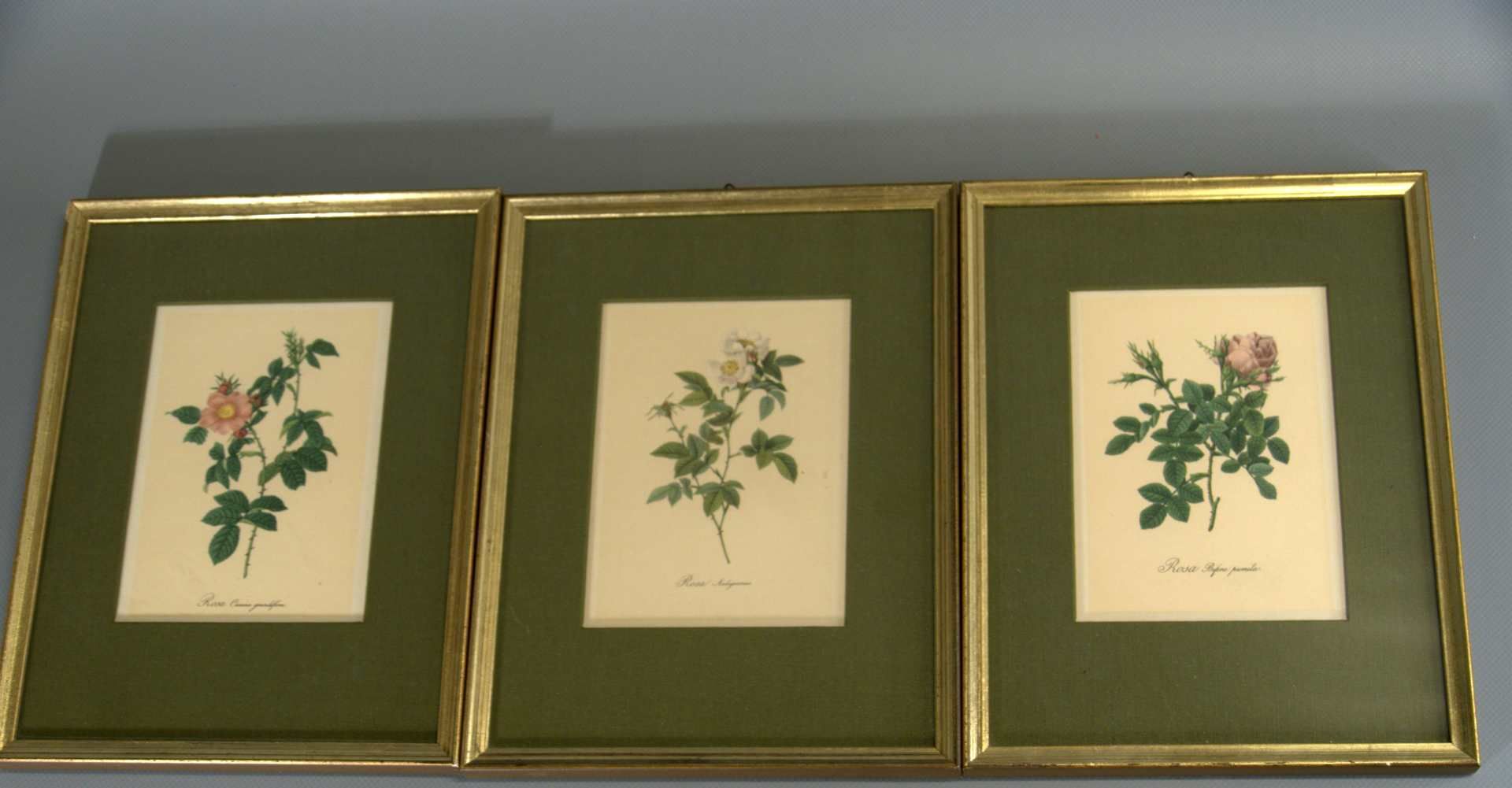 6 Blumenstiche, gerahmt, ca. 10 x 15 cm - Bild 2 aus 2