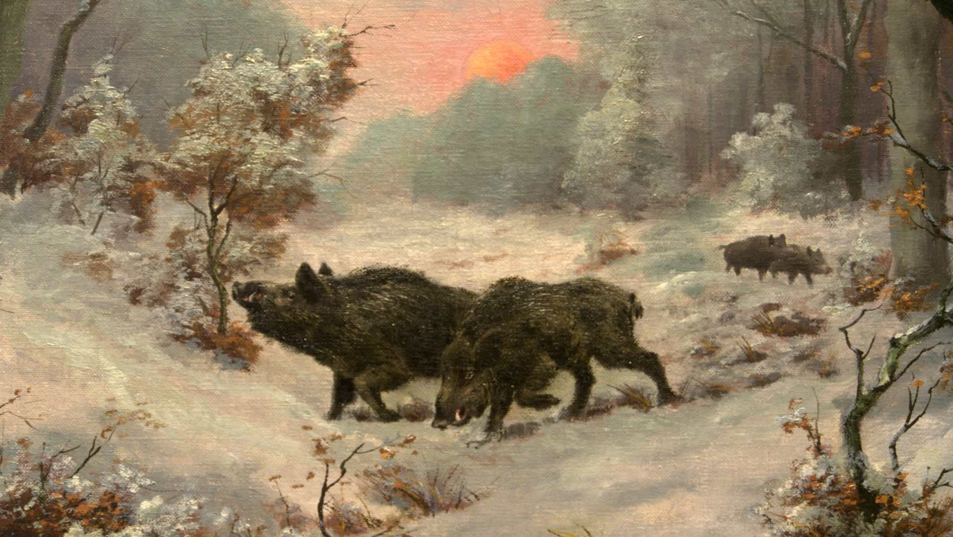 Wohl AUGUST MÖTSCH (1869 - 1952 Düsseldorf), "Wildschweine im Wald",Öl/L, u.re.sig. - Image 2 of 4