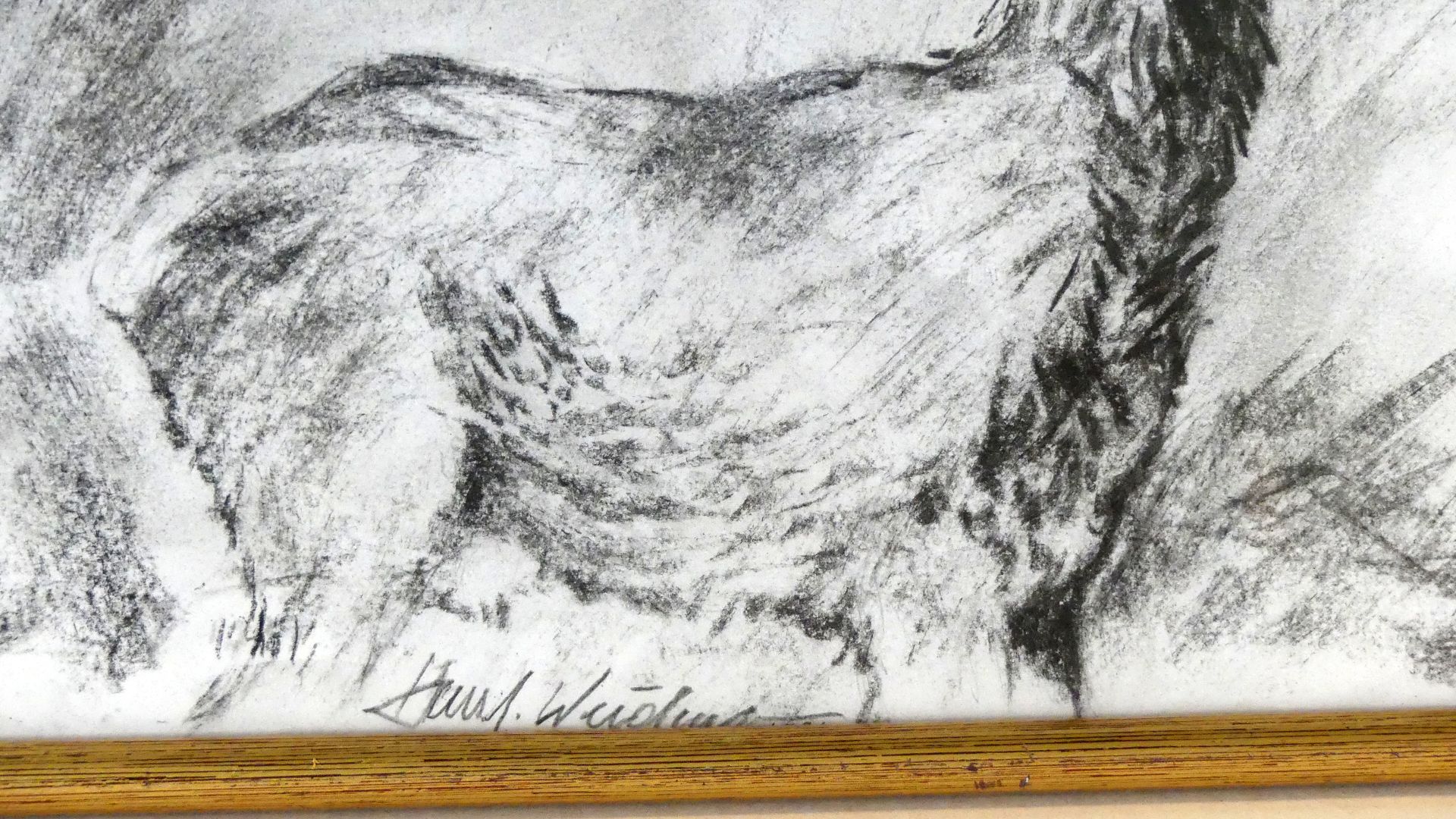 "Rehbock", Kreidezeichnung, mittig unles. sig., ca. 20 x 29 cm - Image 2 of 2