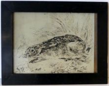 "Hase", Sepia Zeichnung, u.li. monogr. AdS,