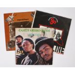 3 x Dub / Reggae LPs. Earth Messengers - Ivory Towers. Radical Dance Faction - Borderline Cases (