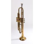 Viking Brass Trumpet.