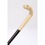 Victorian dog head handled walking stick, the carved bone head with a doges head set with glass