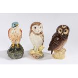 Three Royal Doulton Whyte & Mackay Scotch Whisky decanters, Kestrel, 1979, Barn Owl, 1984, Tawny