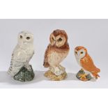 Two Royal Doulton Whyte & Mackay Scotch Whisky decanters, Short-Eared Owl, 1984, and Snowy Owl,