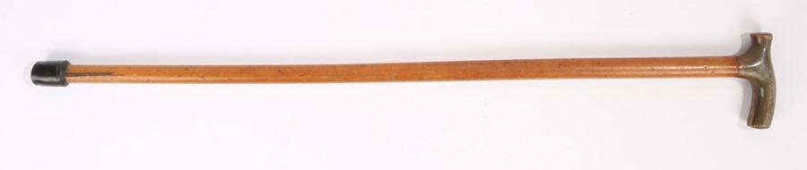 19th Century horn handled walking stick, possibly Rhinoceros horn, the shaped horn handle above a