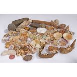 Collection of finds, to include shells, Neolithic flints, stones, seal, human jaw section, etc, (