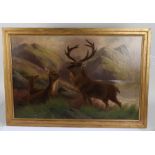 British School, oil study of a stag and deer within a mountainous setting, indistinctly signed oil