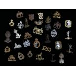 Selection of British and Commonwealth military collar badges including The Royal Berkshire Regiment,