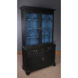 Gothic style painted bookcase, the astragal glazed top above a base with two short drawers and two