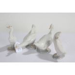 Two Lladro geese and two Nao geese, all modelled in various positions (4)