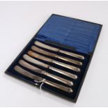 Set of six George V silver handled tea knives, Sheffield 1911, maker John Sanderson, housed in a