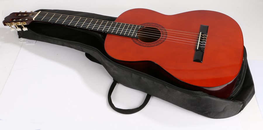 Ashton Model CG44AM Classical Guitar, with soft case.