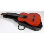 Ashton Model CG44AM Classical Guitar, with soft case.