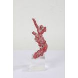 Piece of red branch coral on a perspex plinth base, 30cm high