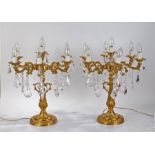 Pair of ormolu six branch candelabra reading lamps, each with central sconce and six scrolled
