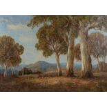 N Woodley (Australian 20th Century school) Gum trees and sheep, signed oil on canvas, 88cm x 63cm