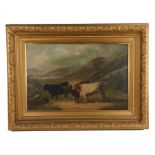 Victorian oil on canvas, highland cattle in a mountainous landscape, signed indistinctly lower left,