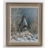 Mark Chester (b.1960) Winter Call - Grey Partridge, signed oil on canvas, 39cm x 50cm