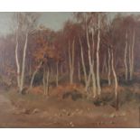 Alan Stenhouse Gourley, PROI (Scottish, 1909-1991) Woodland, signed oil on board, 54cm x 44cm