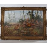 W. Reeves, (20th Century British School), pheasant within a woodland setting, signed oil on