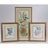 Pair of botanical prints depicting pears and plums, housed in gilt and glazed frames, the prints