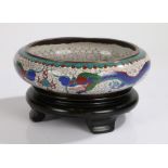 Chinese cloisonne bowl, the bowl centred with a blue dragon on white ground, raised on hardwood