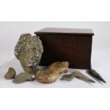19th century mahogany collector's box, enclosing ammonites, other specimens, flint arrowheads