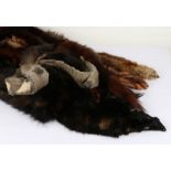 Collection of ladies various fur stoles (6)