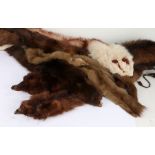 Collection of ladies various fur stoles (6)