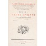 19th Century Greek album, using the Ioannis Georgii Roederer Icones Vteri Humani Obseruationibus