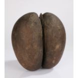 Coco De Mer (Lodicea Maldivica), Seychelles, the unpolished example of typical form, 45cm wide, 26cm