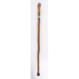 New Zealand interest, a walking cane with a silver collar with ROTURUA NZ 1893, 84cm long