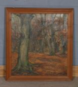 A.E Manning (20th Century), oil on canvas, view of a forest during autumn, housed in a frame, the