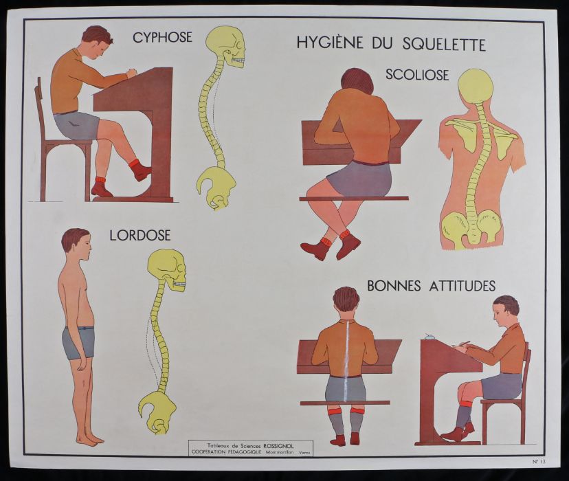 Collection of six French 1960's - 70's Educational Coloured Posters printed by Editions Rossignol, - Image 12 of 12