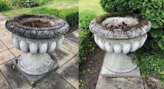 Pair of extremely large reconstituted stone garden urns, each with gadrooned bodies and square