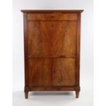 Late 19th Century Biedermeier secretaire a abattant, the rectangular top above a long drawer and a