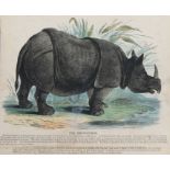 Josiah Wood Whymper (1813-1903), a series of coloured prints depicting animals of the world,