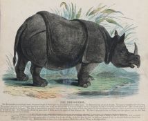 Josiah Wood Whymper (1813-1903), a series of coloured prints depicting animals of the world,